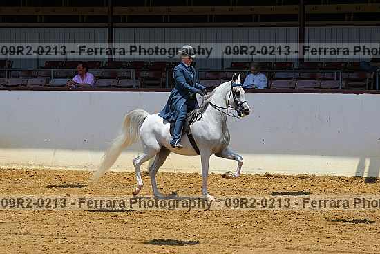 Proof 09r2-0213