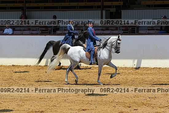 Proof 09r2-0214