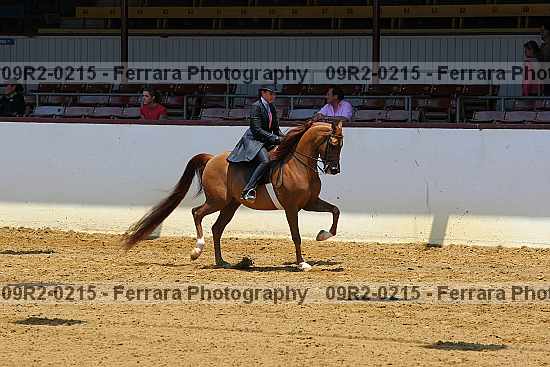 Proof 09r2-0215