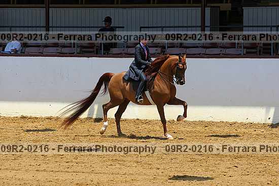 Proof 09r2-0216