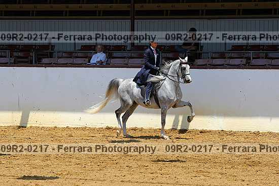 Proof 09r2-0217