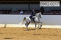 09r2-0217 proof