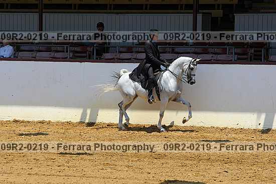 Proof 09r2-0219
