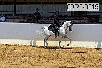 09r2-0219 proof