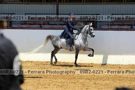 Proof 09r2-0221