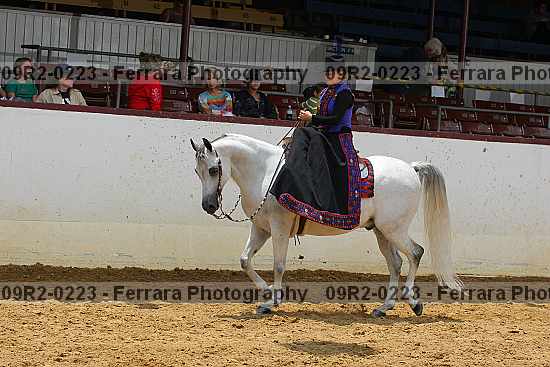 Proof 09r2-0223