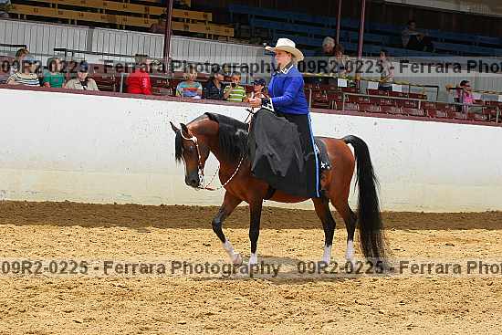 Proof 09r2-0225