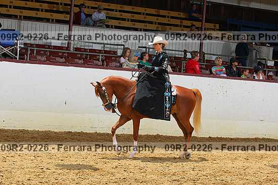 Proof 09r2-0226