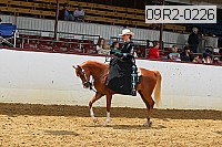 09r2-0226 proof