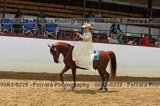 Proof 09r2-0228