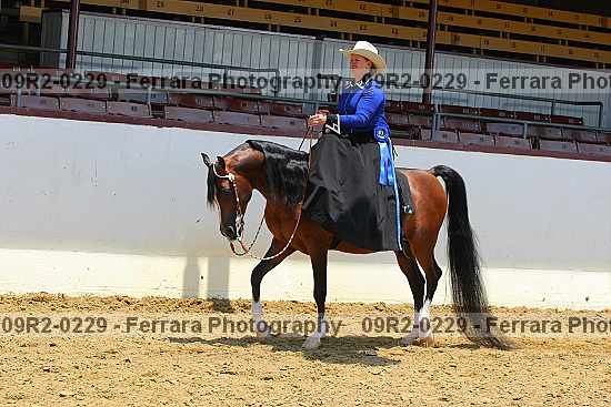 Proof 09r2-0229