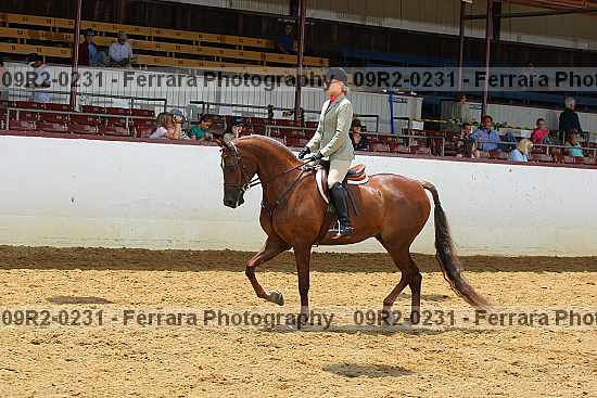 Proof 09r2-0231