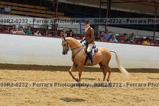 Proof 09r2-0232
