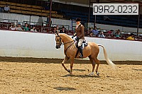 09r2-0232 proof