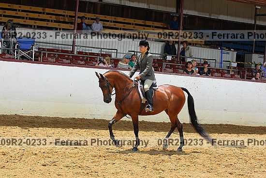 Proof 09r2-0233