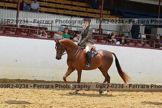 Proof 09r2-0234