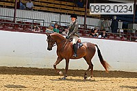 09r2-0234 proof
