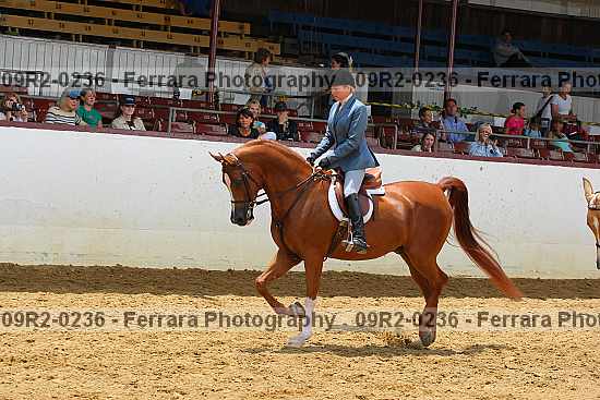 Proof 09r2-0236