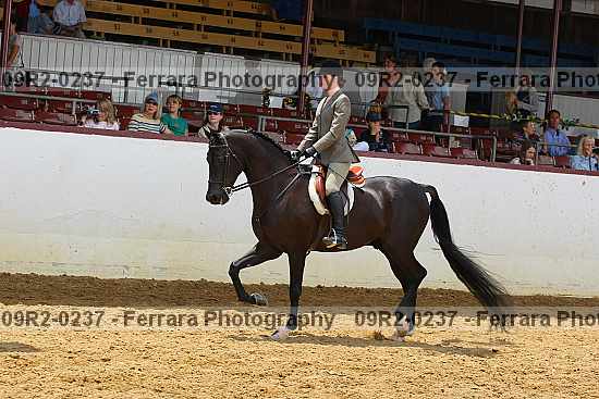 Proof 09r2-0237