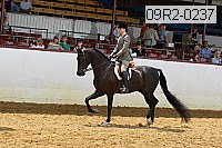 09r2-0237 proof
