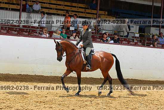 Proof 09r2-0238