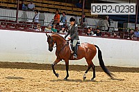 09r2-0238 proof