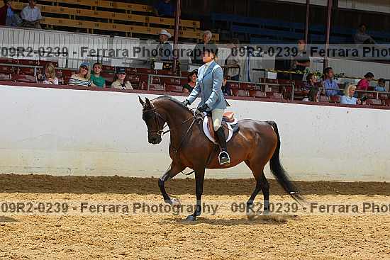 Proof 09r2-0239