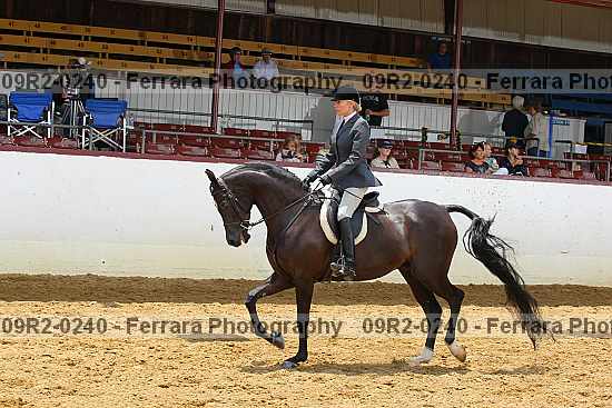 Proof 09r2-0240