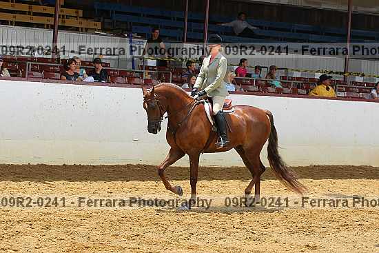 Proof 09r2-0241