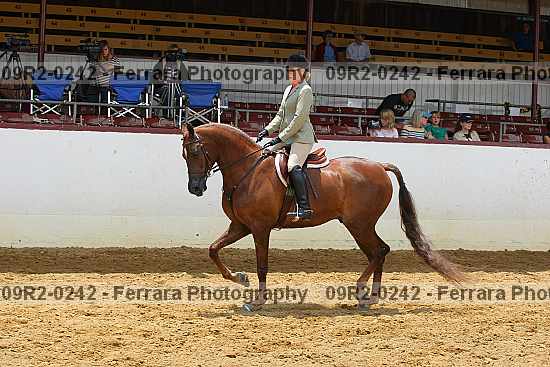 Proof 09r2-0242