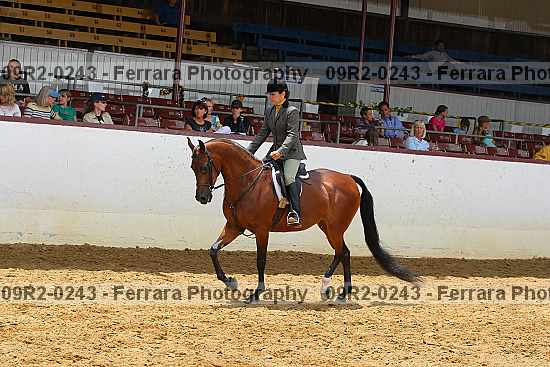 Proof 09r2-0243