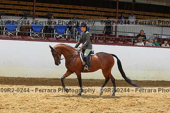 Proof 09r2-0244