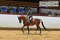 09r2-0244 proof