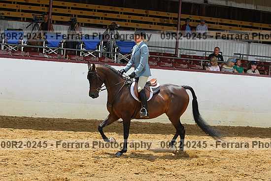 Proof 09r2-0245