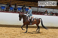 09r2-0245 proof