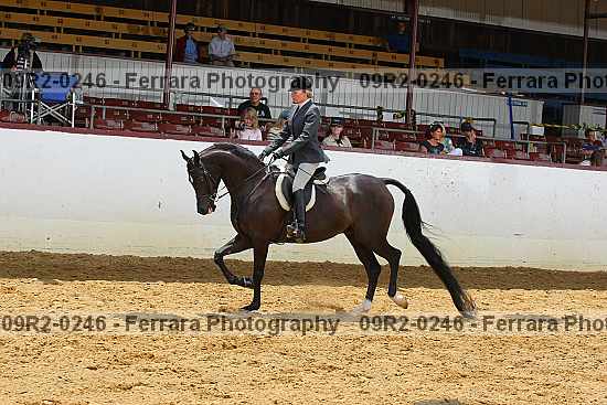 Proof 09r2-0246