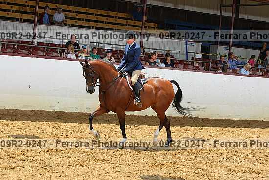 Proof 09r2-0247