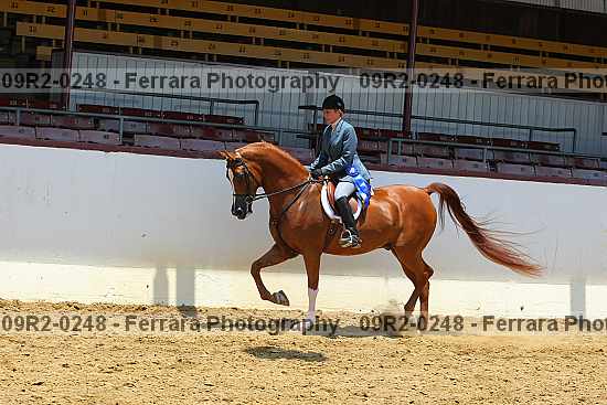 Proof 09r2-0248
