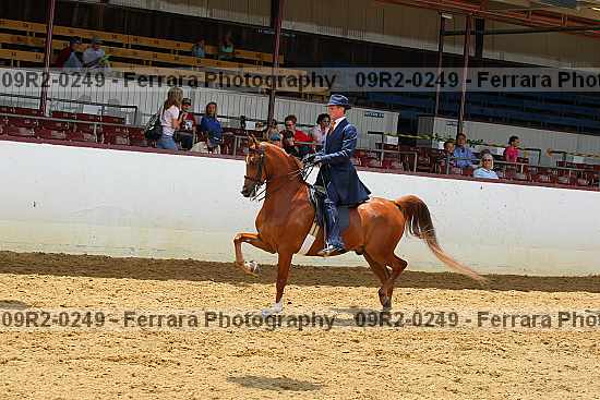 Proof 09r2-0249