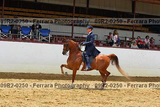 Proof 09r2-0250