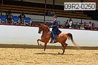 09r2-0250 proof
