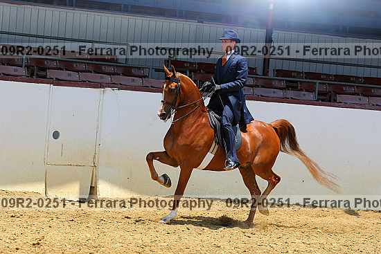 Proof 09r2-0251