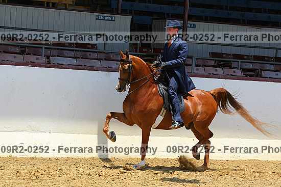 Proof 09r2-0252