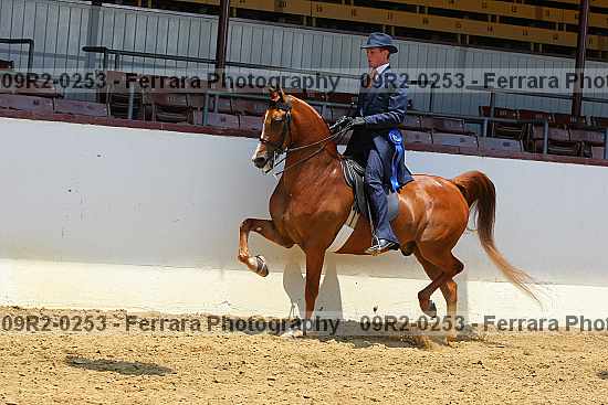 Proof 09r2-0253