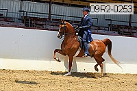 09r2-0253 proof