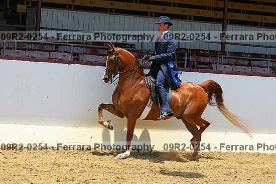 Proof 09r2-0254