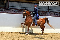 09r2-0254 proof