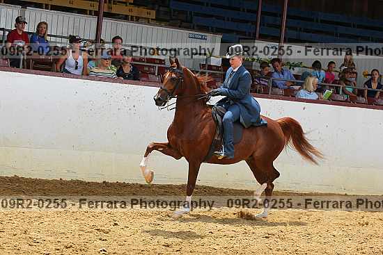 Proof 09r2-0255