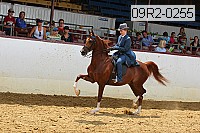 09r2-0255 proof