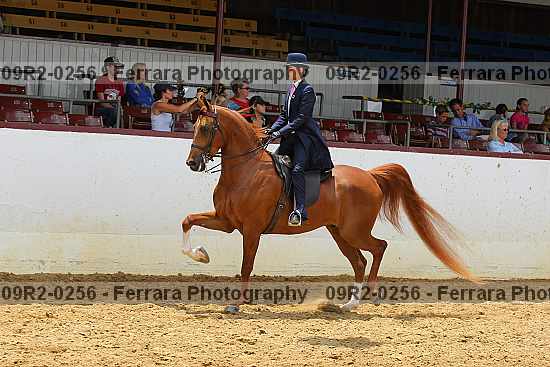 Proof 09r2-0256